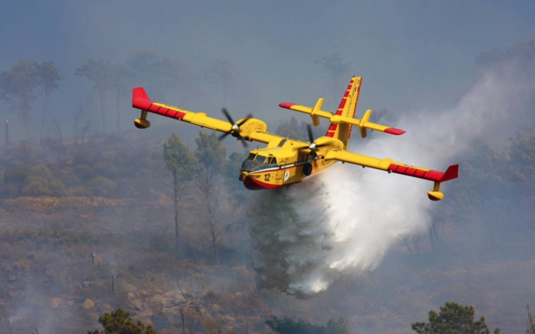 Appalti dei Vigili del Fuoco: l’inchiesta di Report