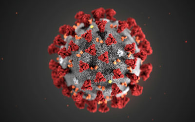 Coronavirus: comunicato alle aziende